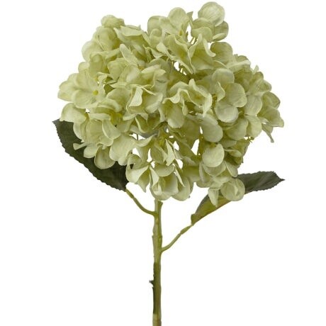 Hydrangea Stem Green 59cmL