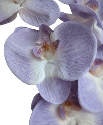 Orchid Lilac 85cmL