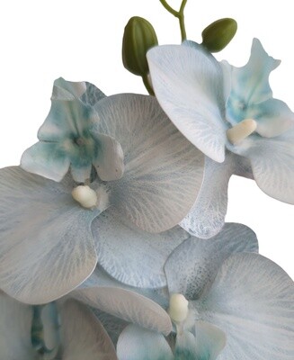 Orchid Blue Light 85cmL