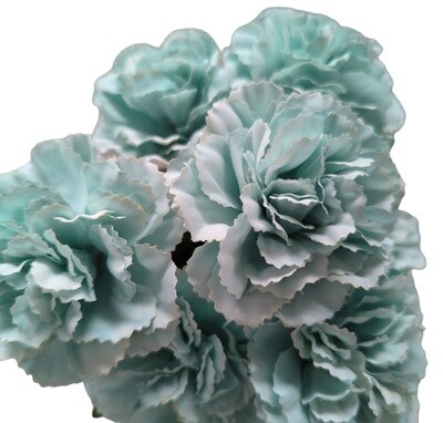Carnation Bunch 7H 30cmL Green