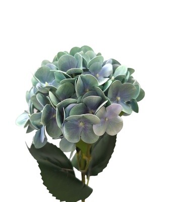 Hyrangea Stem Green 68cmL