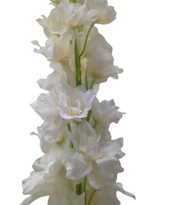 Delphinium Stem Champagne 123cmL