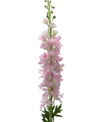 Delphinium Stem Pink 123cmL