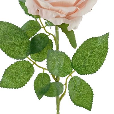 Rose Mister Velvet Stem Pink 77cmL