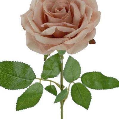 Rose Berverly Velvet Rose Stem Pink 77cmL