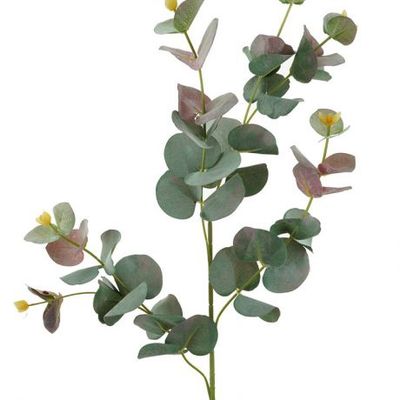 Eucalyptus Stem Red Green 88cmL