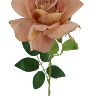 Rose Lady Velvet Stem Pink Nude 54cmL