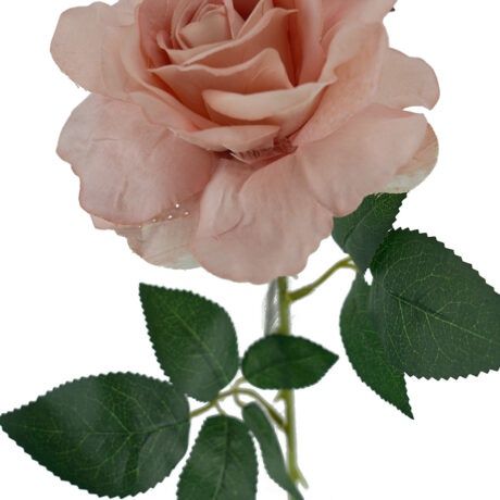 Rose Lady Velvet Stem Dusty Pink 54cmL