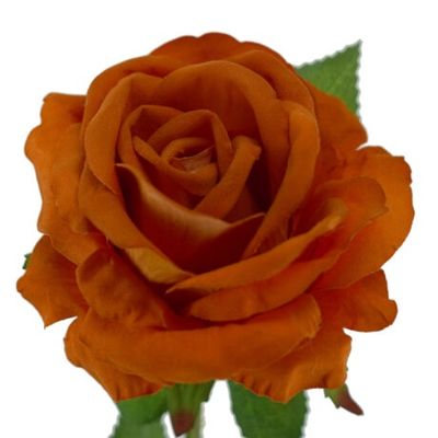 Rose Mister Velvet Stem Orange 77cmL