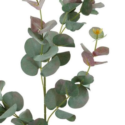 Eucalyptus Stem Red Green 88cmL