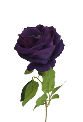 Rose Monty Velvet Stem Purple 53cmL