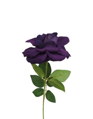 Rose Monty Velvet Stem Purple 53cmL