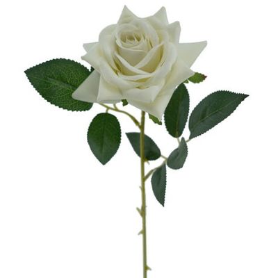 Rose Prima Cream 62cmL