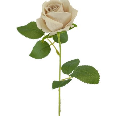 Rose Mini Velvet Nude 51cmL