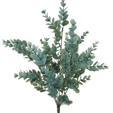 Eucalyptus Bush 45cmL