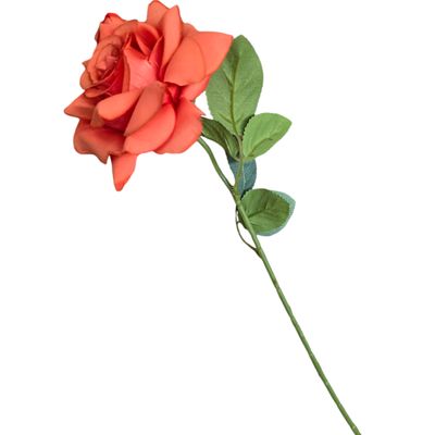 Rose Pointed Stem Blood Orange 50cmL