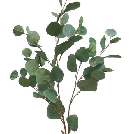 Eucalyptus France Spray Green 113cmL