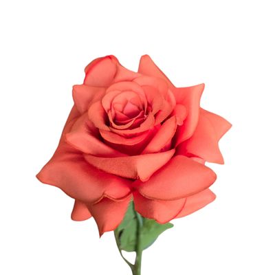 Rose Pointed Stem Blood Orange 50cmL
