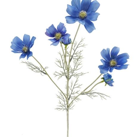 Cosmos Spray Blue 60cmL