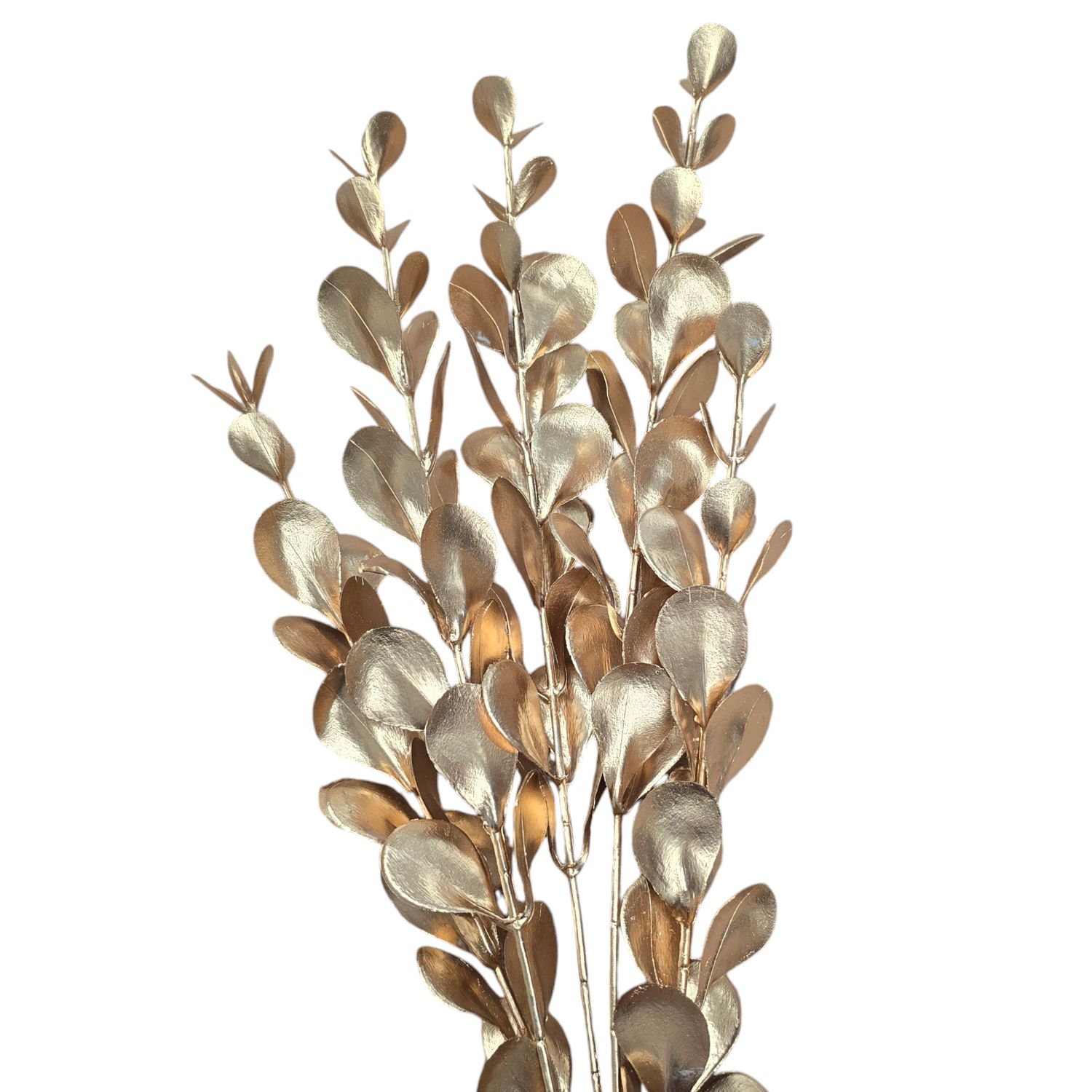 Eucalyptus Spray Gold 75cmL