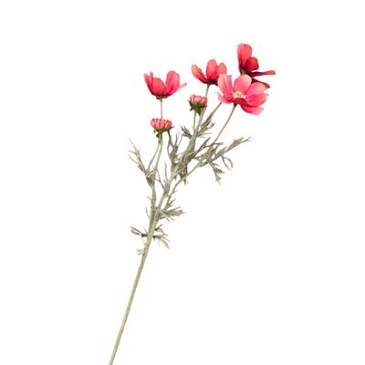 Cosmo Long Red 60cmL