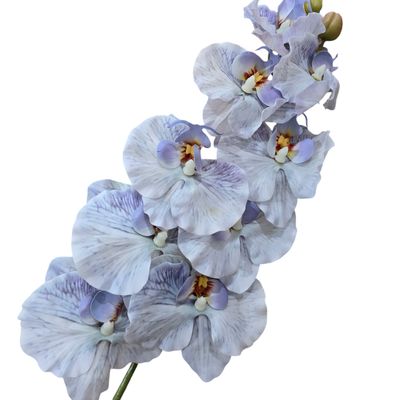Orchid Butterfly RT 7H Blue-Purple 96cmL