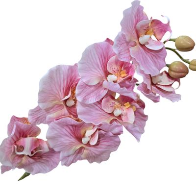 Orchid Butterfly RT 7H Coral-Pink 96cmL