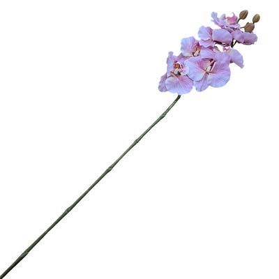 Orchid Butterfly RT 7H Coral-Pink 96cmL
