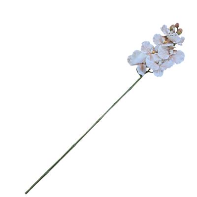 Orchid Butterfly RT 7H Nude 96cmL