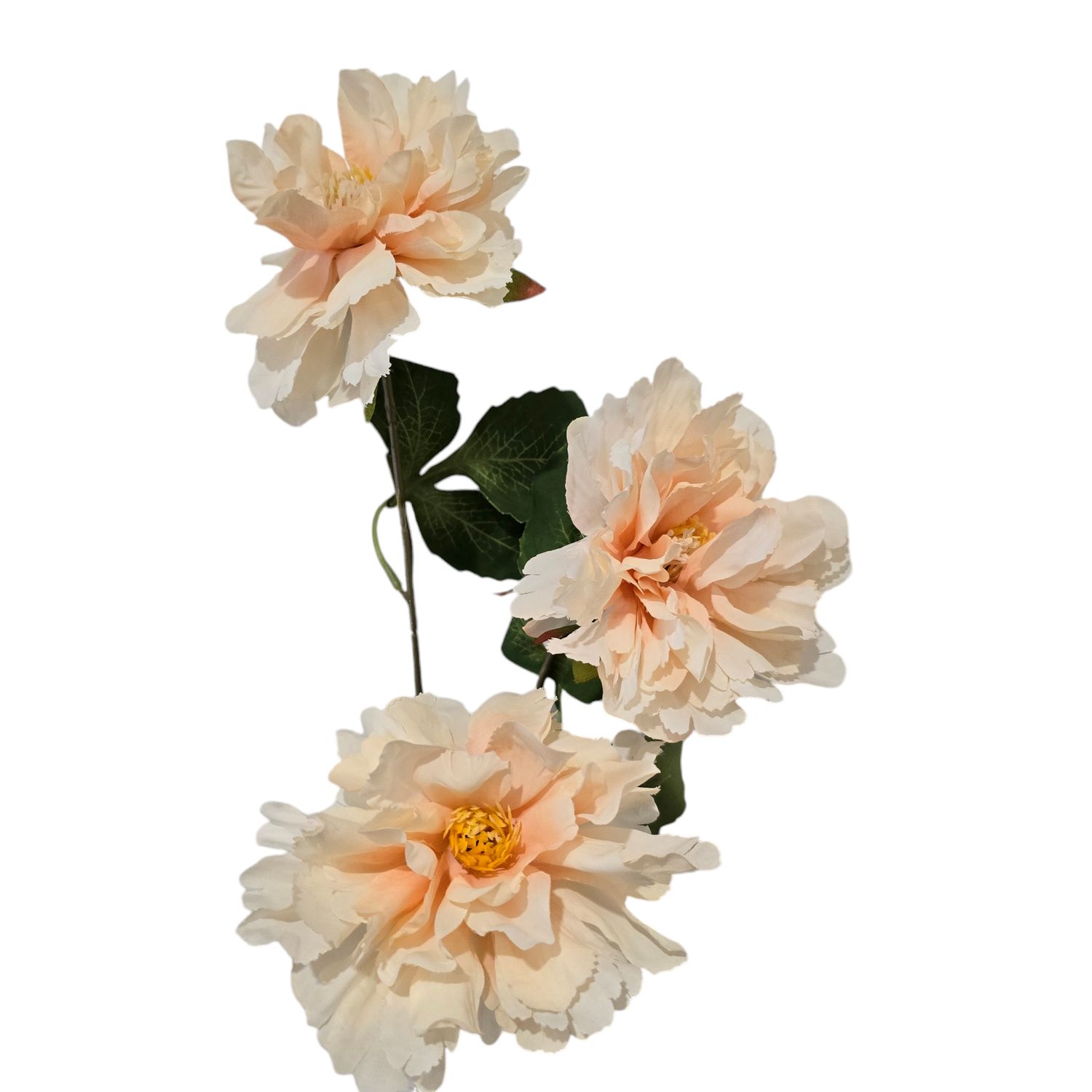 Peony 3H Champagne 73cmL