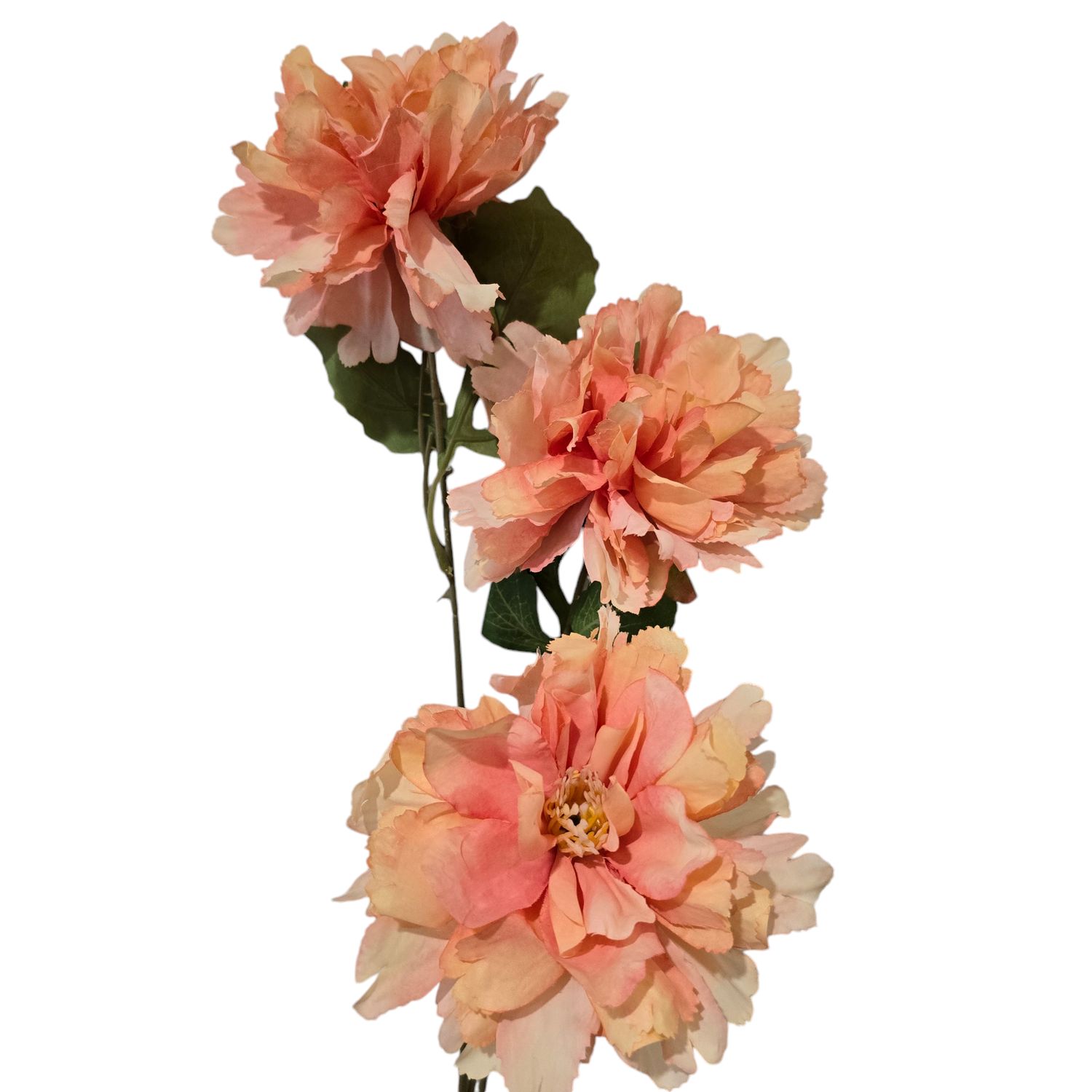Peony 3H Coral 73cmL
