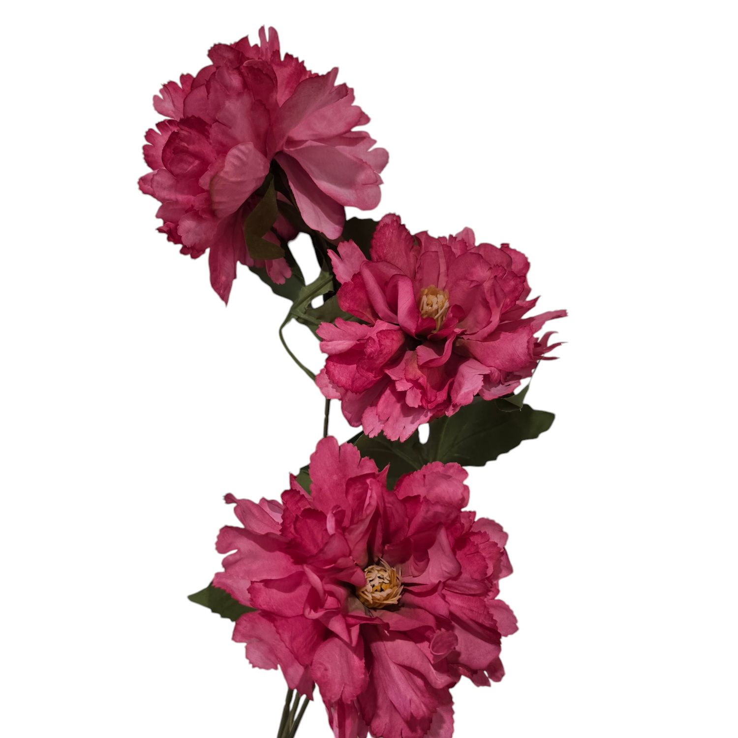 Peony 3H Hot Pink 73cmL