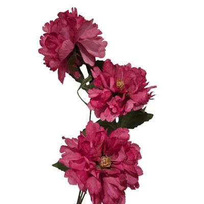 Peony 3H Hot Pink 73cmL