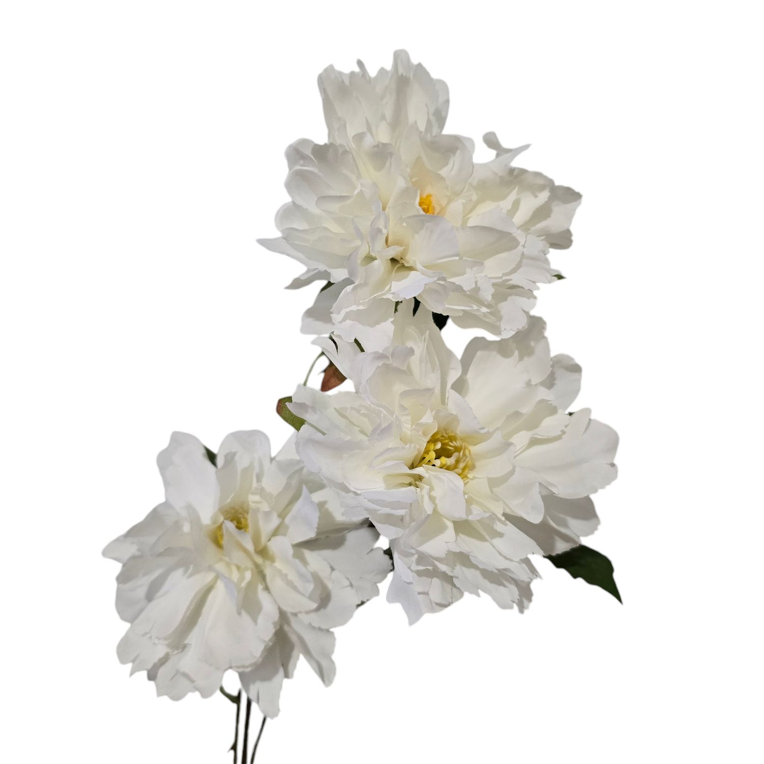 Peony 3H White 73cmL