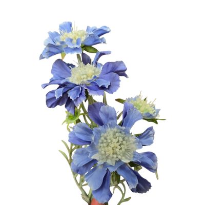 Scabiosa 4H2B Dark Blue 60cmL