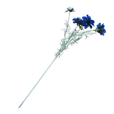 Scabiosa 4H2B Dark Blue 60cmL