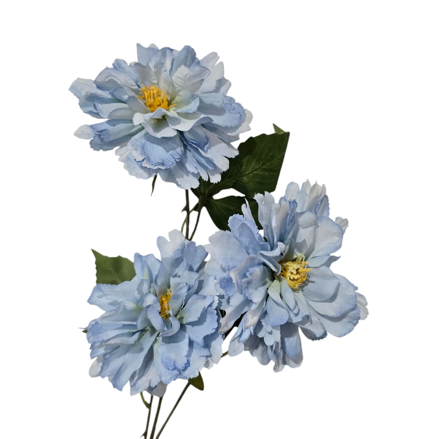Peony 3H Light Blue 73cmL