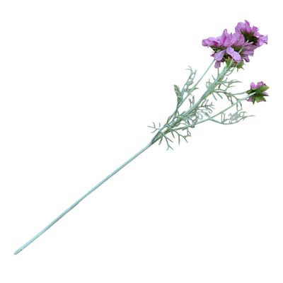 Scabiosa 4H2B Light Purple 60cmL