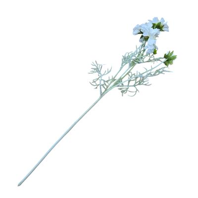 Scabiosa 4H2B White 60cmL