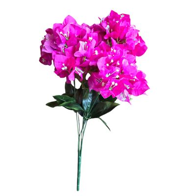 Bougainvillea Bush Hot Pink 7H 50cmL