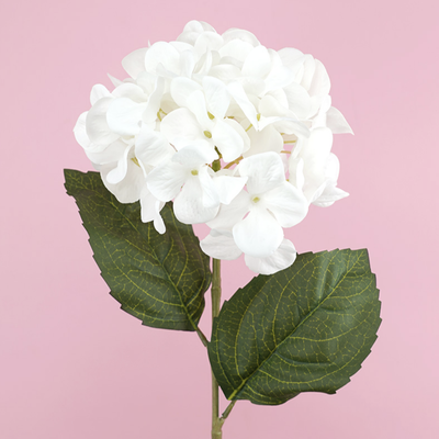 Hydrangea Stem White 70cmL