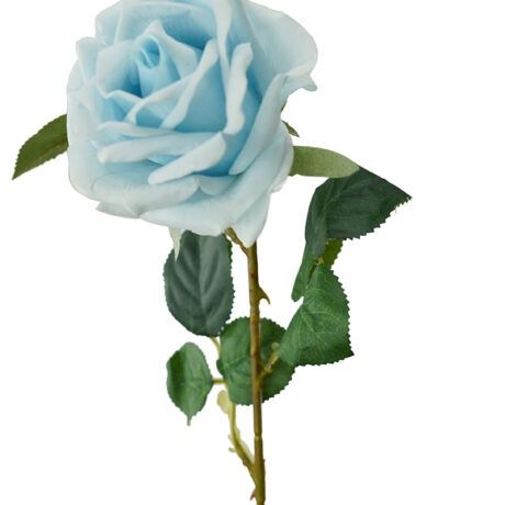 Rose Holland RT Blue 83cmL