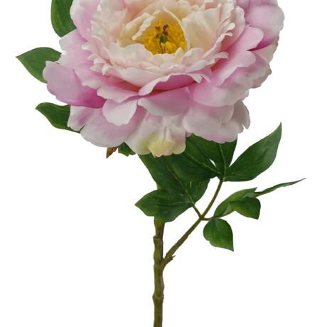 Peony Stem Light Pink 74cmL