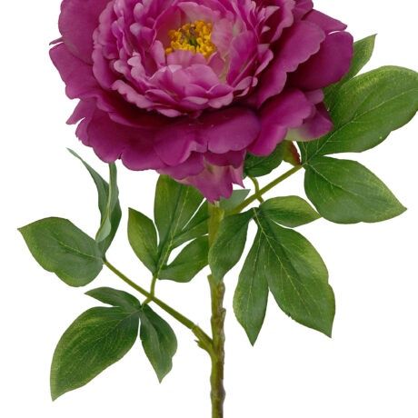 Peony Stem Purple 74cmL