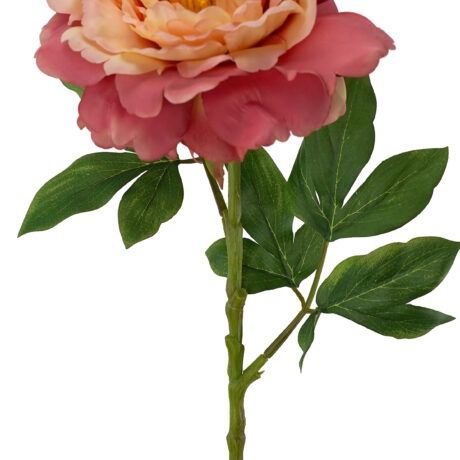 Peony Stem Peach 74cmL