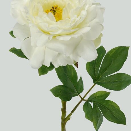 Peony Stem White 74cmL
