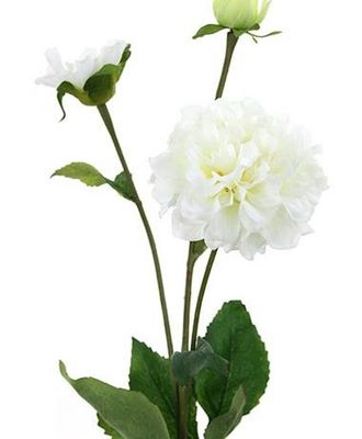 Zinnia Stem 3H Cream 67cmL