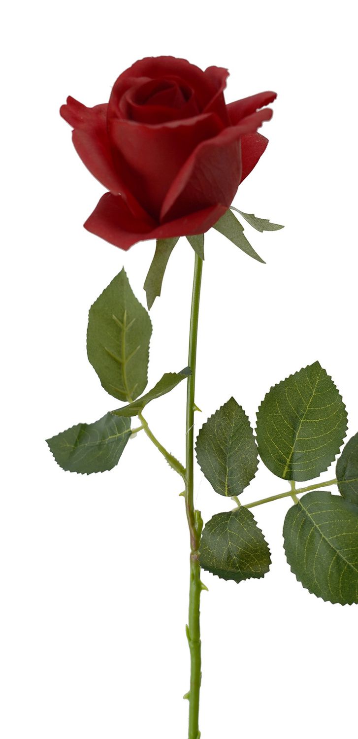 Rose Valentine RT Red 65cmL