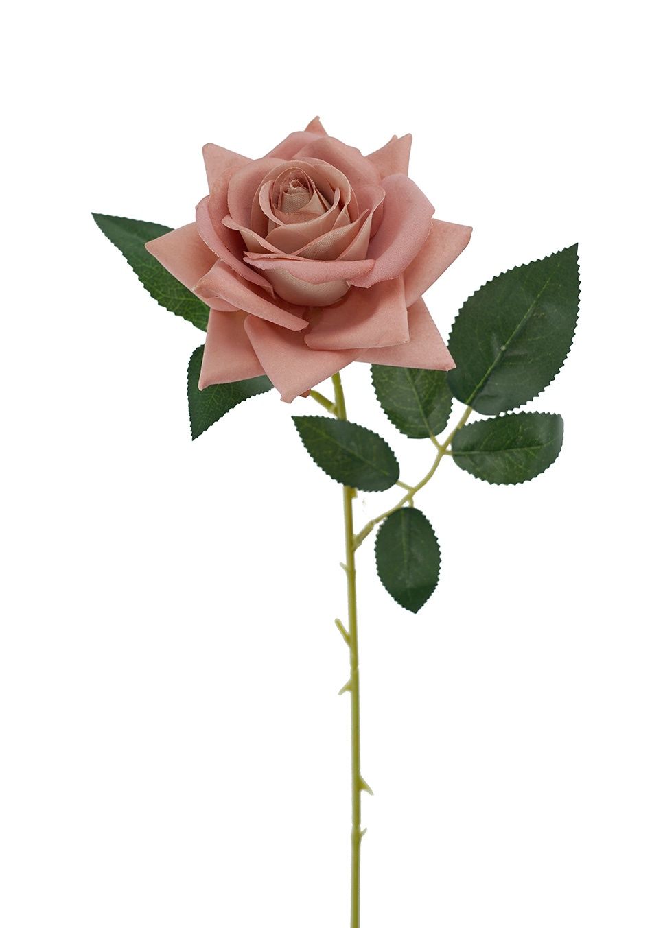 Rose Prima Pink 62cmL