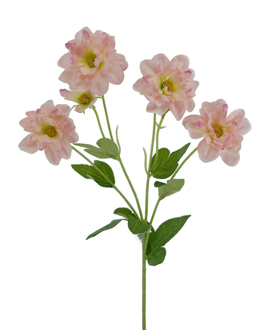 Camilia Japanese Spray Pink 61cmL